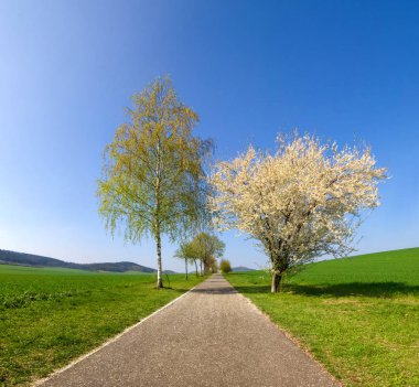 Bahar gökyüzü manzara mavi 
