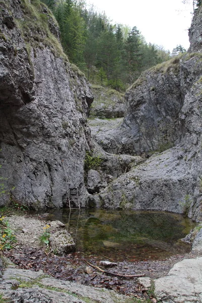 Garganta de Prosiek, Eslovaquia — Foto de Stock