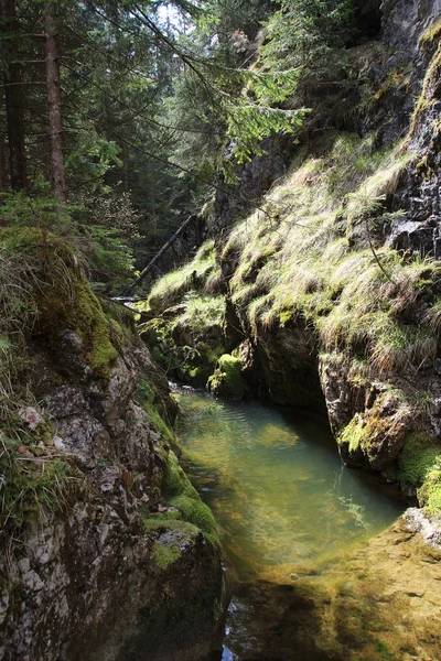 Gola di Prosiek, Slovacchia — Foto Stock