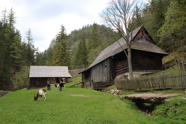 Vodní mlýn, Kvacany, Slovensko — Stock fotografie