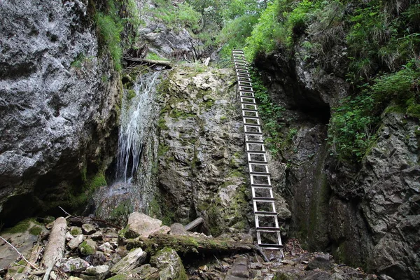 Zejmarska Gorge, Eslováquia — Fotografia de Stock