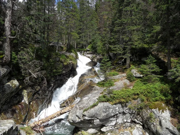 Transmisja w Wysokie Tatry, Słowacja — Zdjęcie stockowe