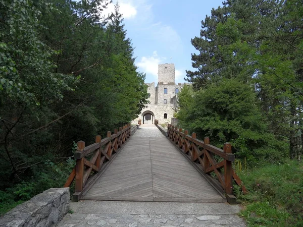 Strecno замок, Словаччина — стокове фото