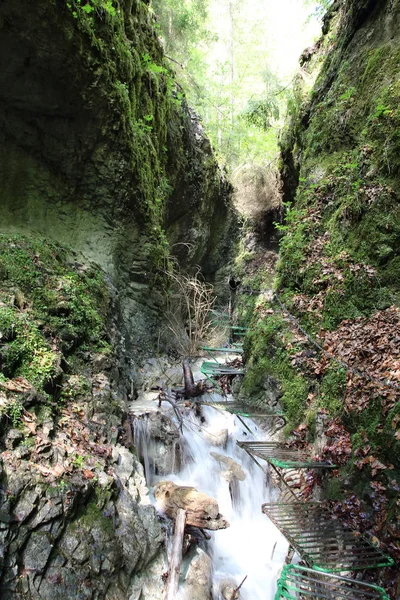 Ravine em Slovak Paradise National Park, Eslováquia — Fotografia de Stock