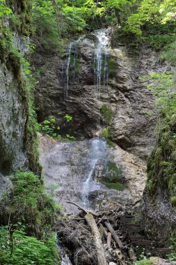Şelale Milli Parkı Slovak cennet, Slovakya