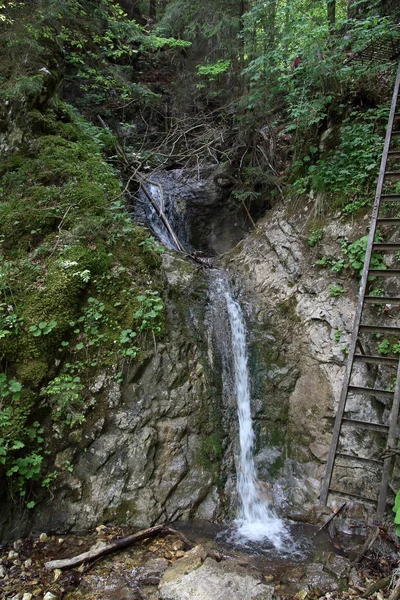 Cascada en el Parque Nacional Slovak Paradise, Eslovaquia — Foto de Stock