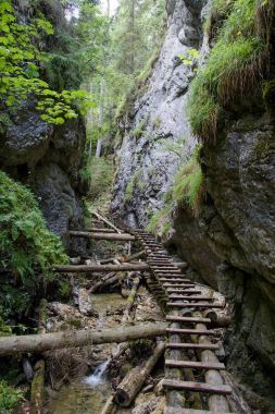 Slovak Paradise Ulusal Parkı, Slovakya
