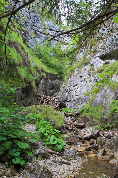 Parque Nacional del Paraíso Eslovaco, Eslovaquia — Foto de Stock