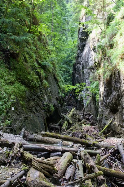 Slovak Paradise National Park, Eslováquia — Fotografia de Stock