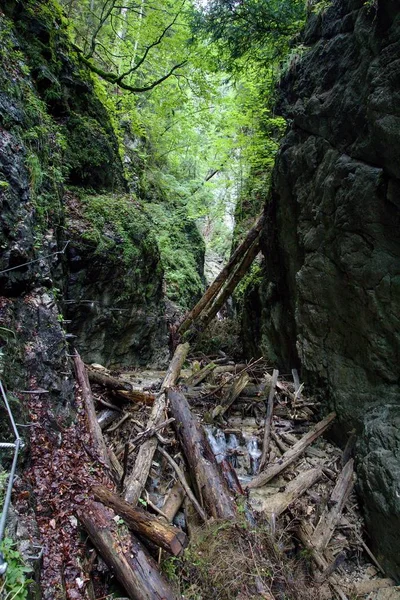 Slovak Paradise National Park, Eslováquia — Fotografia de Stock