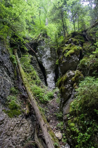 Parque Nacional del Paraíso Eslovaco, Eslovaquia — Foto de Stock