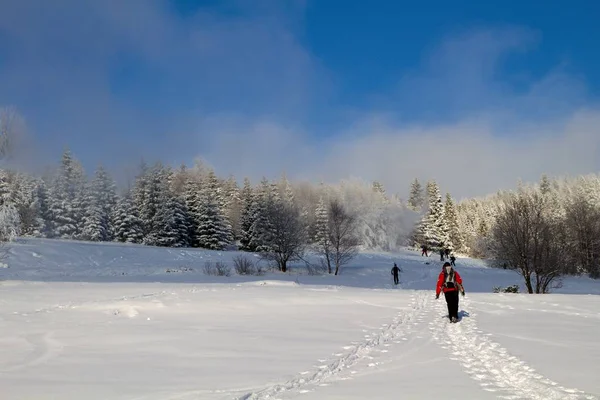 Caminhadas Inverno — Fotografia de Stock