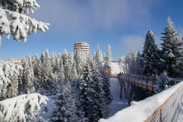 Bachledova Dalen Höga Tatrabergen Slovakien — Stockfoto