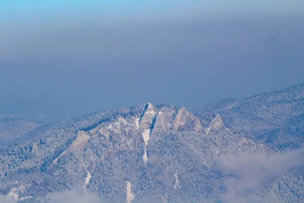 Weergave Van Het Pieniny National Park Van Bachledova Vallei Nationaal — Stockfoto