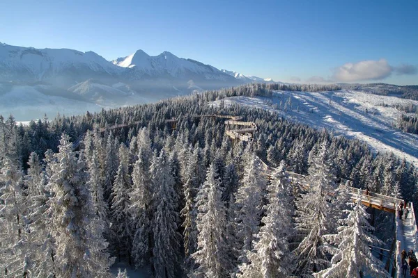 Бахледова Долина Высоких Татрах Словакия — стоковое фото