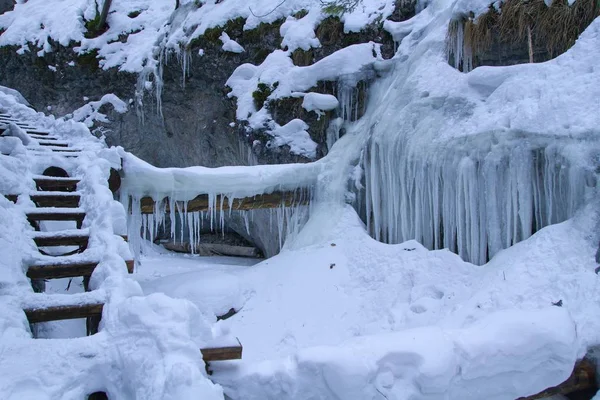 Icefall Úkolky Národním Parku Slovenského Ráje Slovensko — Stock fotografie