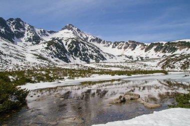 Büyük beyaz lake yüksek Tatras Milli Parkı, Slovakya