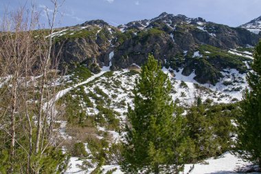 Yüksek Tatras Milli Parkı, Slovakya