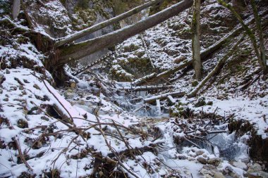 Slovakya 'daki Slovak Paradise Ulusal Parkı' nda kışın Falcon Vadisi