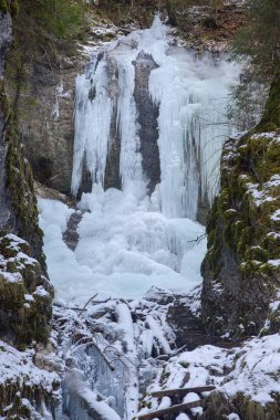 Falcon Vadisi 'nde Vysny şelalesi Slovakya' daki Slovak Paradise Ulusal Parkı
