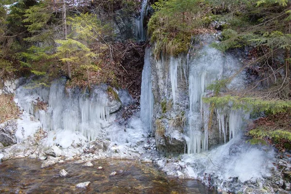 Icefall White Brook Nel Parco Nazionale Slovacco Paradise Slovacchia — Foto Stock