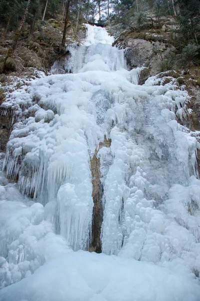 Cascata Zavojovy Inverno Nella Valle Del Falcon Parco Nazionale Slovacco — Foto Stock