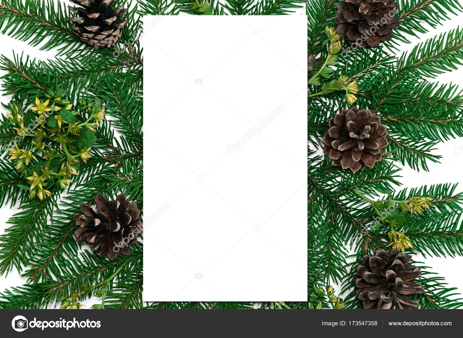 paper blank christmas tree branches golden decorations on white background flat lay top view copy space square photo by nsamorodskaia - Blank Christmas Tree paper blank christmas tree branches golden decorations on white background flat lay top view copy space square photo by nsamorodskaia - Blank Christmas Tree
