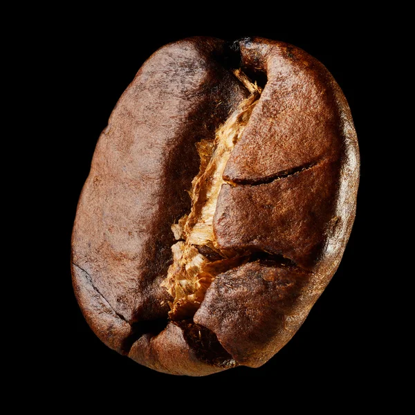 Macro grain de café — Photo