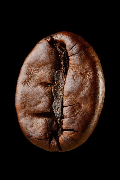 Macro koffie bean — Stockfoto