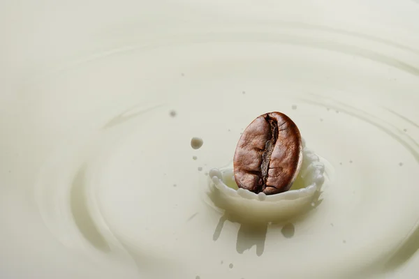 Kávové zrno splash — Stock fotografie