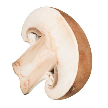 Bölüm izole mantar