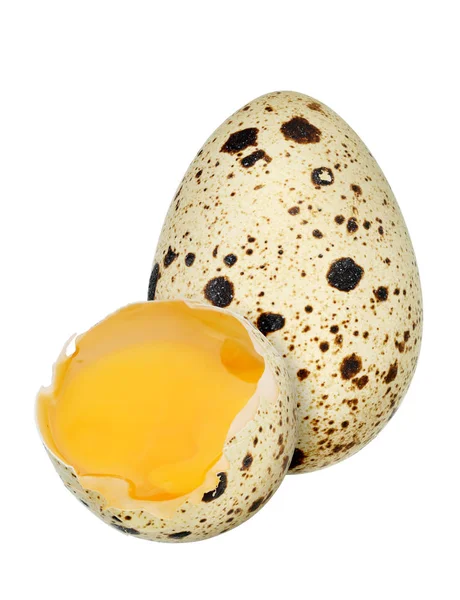 Huevos de codorniz aislados —  Fotos de Stock