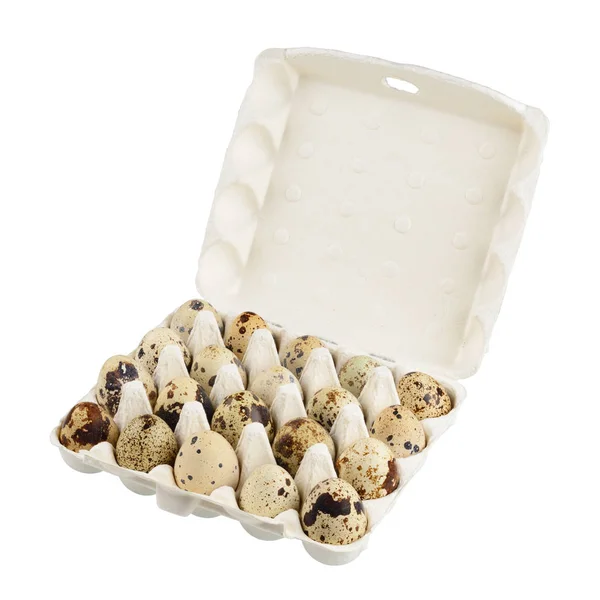 Quail eggs isolated — Stock Photo, Image