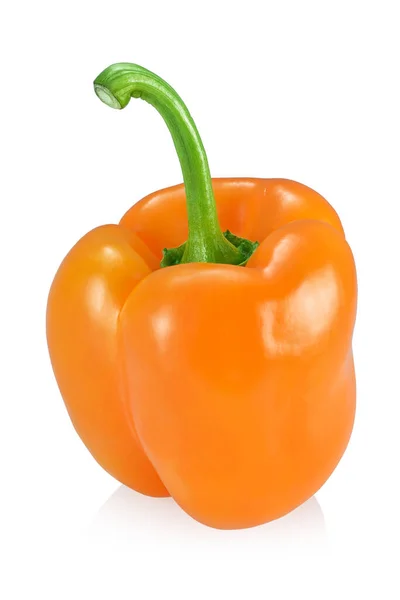 Oranje paprika geïsoleerd op witte achtergrond. — Stockfoto