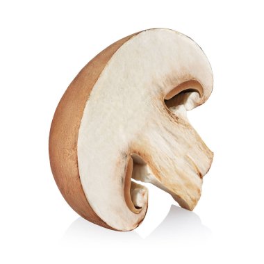 Şampiyon Mantarı beyaz arkaplanda izole edildi