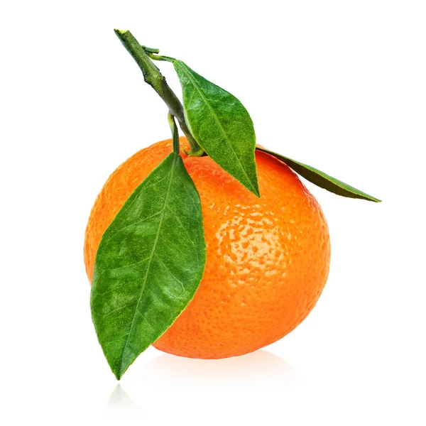 Hele rijpe mandarijn met bladeren geïsoleerd op wit — Stockfoto