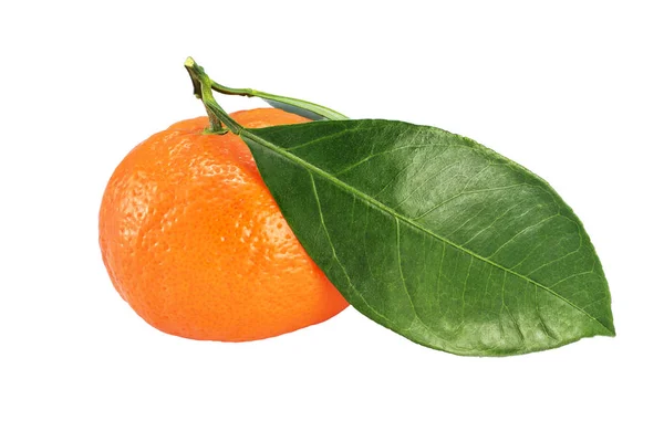 Całe dojrzałe mandarynki z liśćmi wyizolowanymi na białym — Zdjęcie stockowe