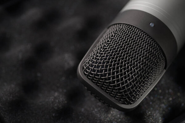 Gray studio condenser microphone on black soft foam of protective case