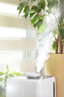 Oturma odasının camındaki beyaz ultrasonik nemlendirici kuru havayı nemlendiriyor.