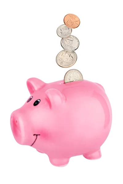 Банк Рожевих Голубів Падаючими Монетами Американського Центу Ізольовані Білому Фоні — стокове фото