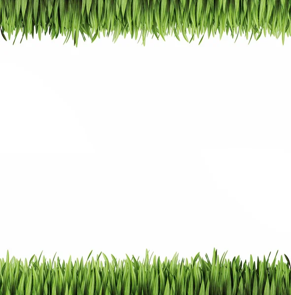 Green grass on white — Stock Photo, Image