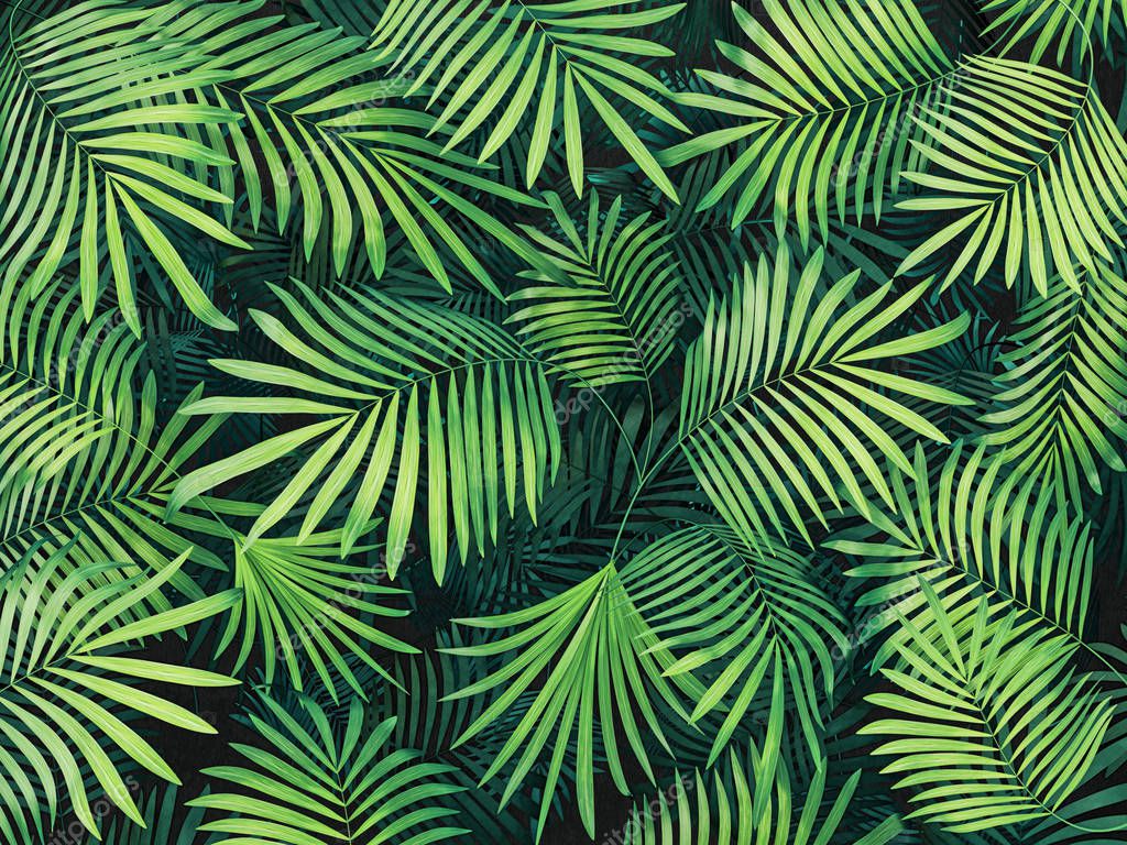 tropical leaves background — Stock Photo © alexroz 172372718