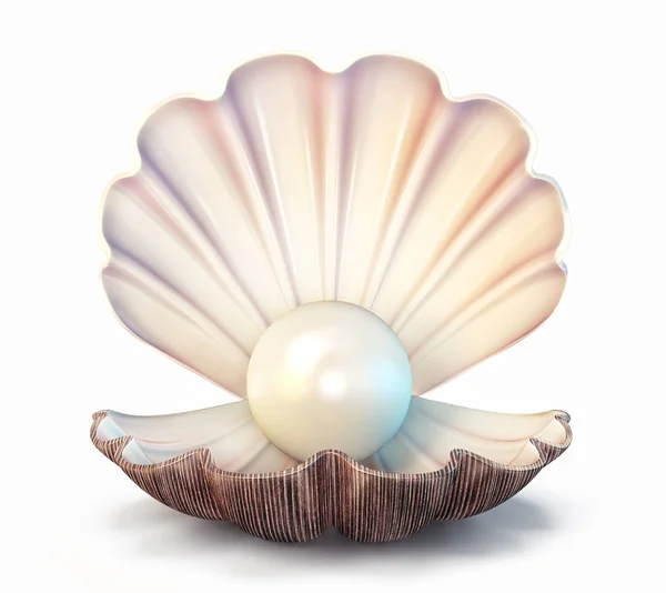 3d pearl in shell — Stock Photo, Image