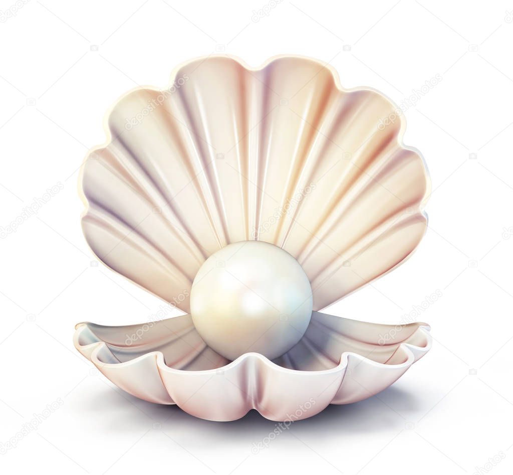 3d pearl in shell