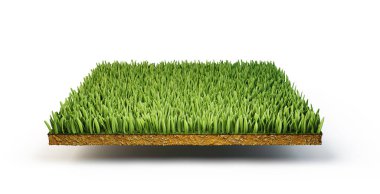 Kavramsal çimenler beyazın üzerinde izole edilmiş. 3d illüstrasyon