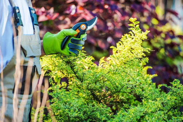 Jardinero con franjas de jardín — Foto de Stock