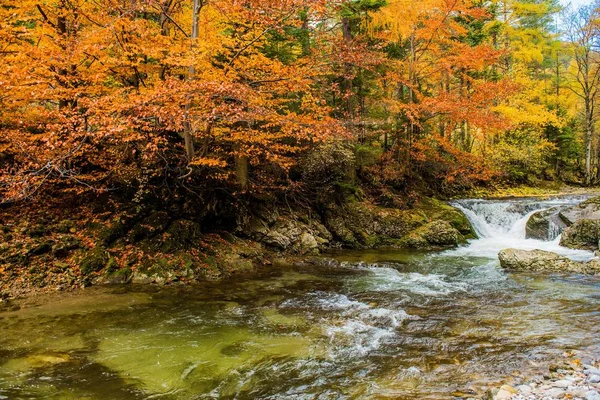 Fall Foliage Mountain River — Stock Photo, Image