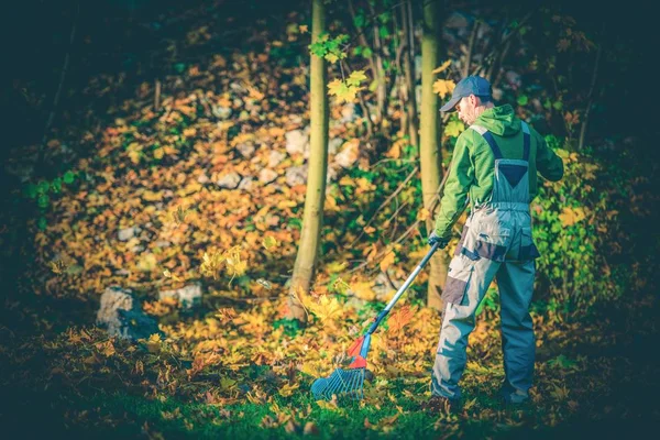 Folhas de jardineiro Raking — Fotografia de Stock