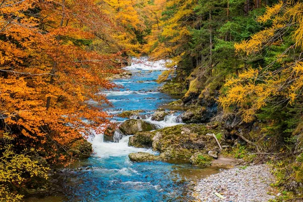 Scenic Autumn Fall Foliage