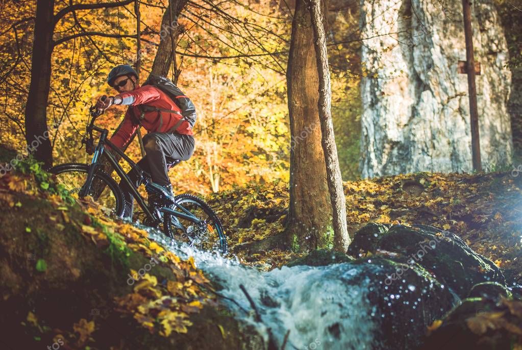 forest bike trails